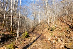 Blackstone Mountain Tract 10