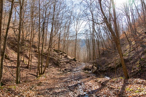 Blackstone Mountain Tract 11