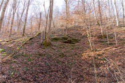 Blackstone Mountain Tract 11