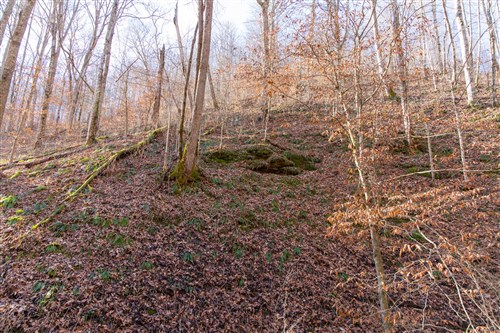 Blackstone Mountain Tract 11