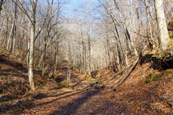 Blackstone Mountain Tract 11