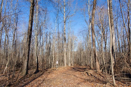 Blackstone Mountain Tract 20
