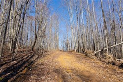 Blackstone Mountain Tract 20