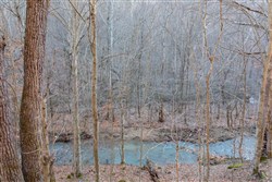 property photo for Blackstone Mountain Tract 3, 19.9 acres for sale in Clay County, Kentucky