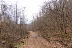 Blackstone Mountain Tract 45