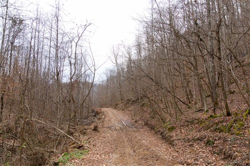 Blackstone Mountain Tract 45