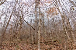 Blackstone Mountain Tract 45