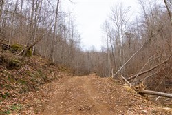 Blackstone Mountain Tract 45