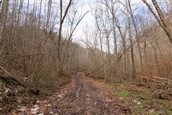 Blackstone Mountain Tract 53