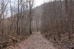 Blackstone Mountain Tract 53