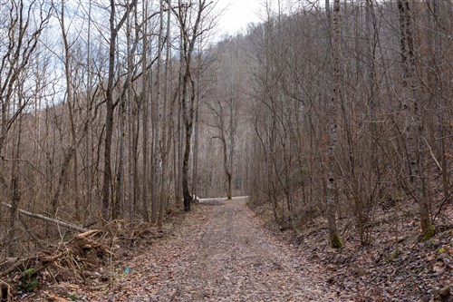 Blackstone Mountain Tract 53