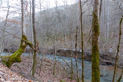 property photo for Blackstone Mountain Tract 7, 24.38 acres for sale in Clay County, Kentucky