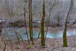 property photo for Blackstone Mountain Tract 7, 24.38 acres for sale in Clay County, Kentucky