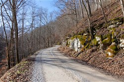 Blackstone Mountain Tract 8
