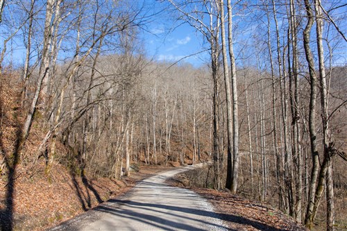 Blackstone Mountain Tract 8