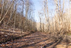 Blackstone Mountain Tract 8