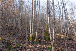 Blackstone Mountain Tract 8