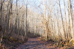 Blackstone Mountain Tract 9