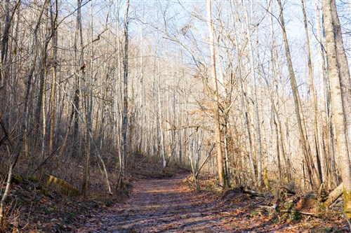 Blackstone Mountain Tract 9