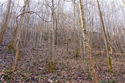 Blackstone Mountain Tract 9