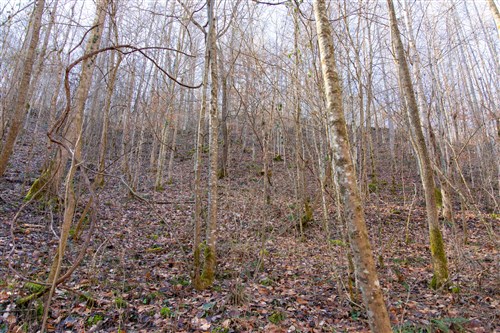 Blackstone Mountain Tract 9