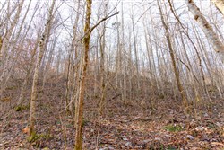 Blackstone Mountain Tract 9