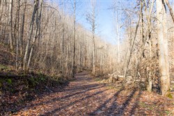 Blackstone Mountain Tract 9