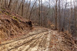 Blackstone Mountain Phase II Tract 54