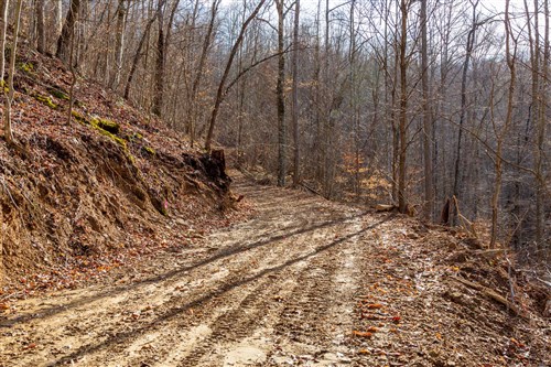 Blackstone Mountain Phase II Tract 54