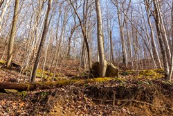 Blackstone Mountain Phase II Tract 54