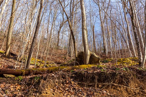 Blackstone Mountain Phase II Tract 54