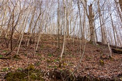 Blackstone Mountain Phase II Tract 54