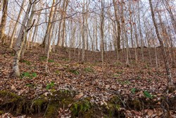 Blackstone Mountain Phase II Tract 54