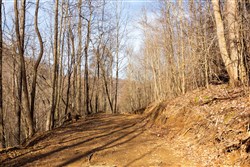 Blackstone Mountain Phase II Tract 54