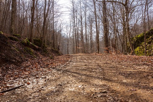 Blackstone Mountain Phase II Tract 61