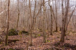 Blackstone Mountain Phase II Tract 61