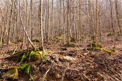 Blackstone Mountain Phase II Tract 61