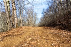 Blackstone Mountain Phase II Tract 61