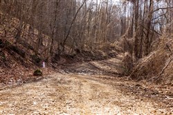 Blackstone Mountain Phase II Tract 63