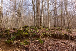 Blackstone Mountain Phase II Tract 63