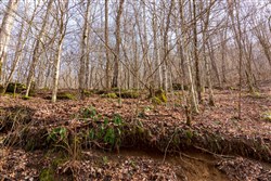 Blackstone Mountain Phase II Tract 63