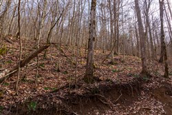 Blackstone Mountain Phase II Tract 63