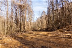 Blackstone Mountain Phase II Tract 63