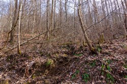 Blackstone Mountain Phase II Tract 63