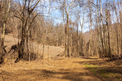 Blackstone Mountain Phase II Tract 64