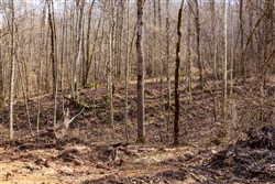 Blackstone Mountain Phase II Tract 64