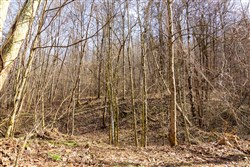 Blackstone Mountain Phase II Tract 64