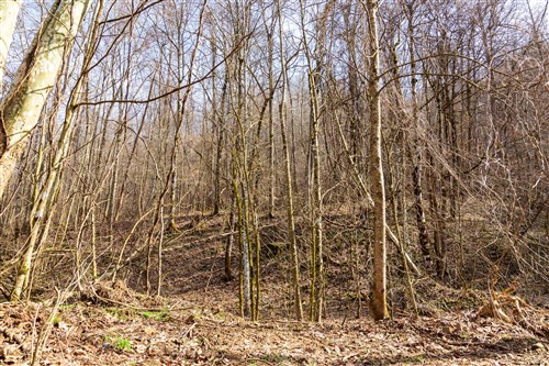 Blackstone Mountain Phase II Tract 64