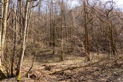 Blackstone Mountain Phase II Tract 64