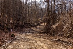 Blackstone Mountain Phase II Tract 64